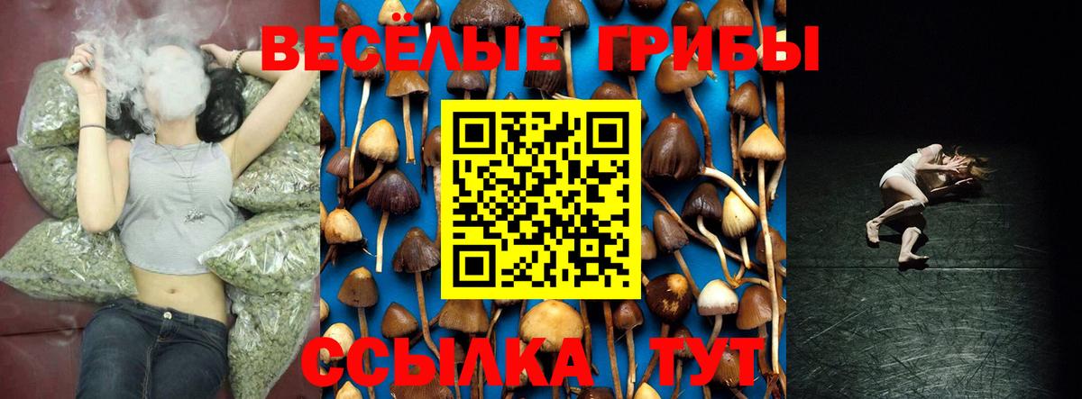 Псилоцибиновые грибы GOLDEN TEACHER Краснознаменск